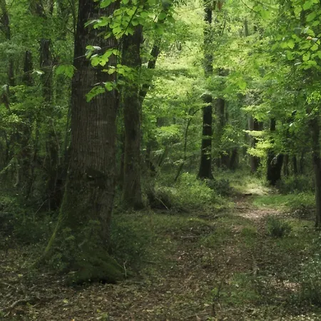 Апартамент Wave 35